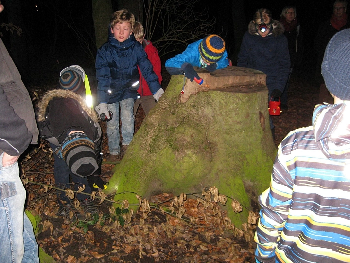 Taschenlampenwanderung © Stadt Rhede